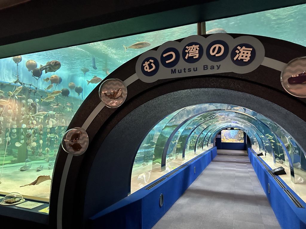 水族館内のトンネル